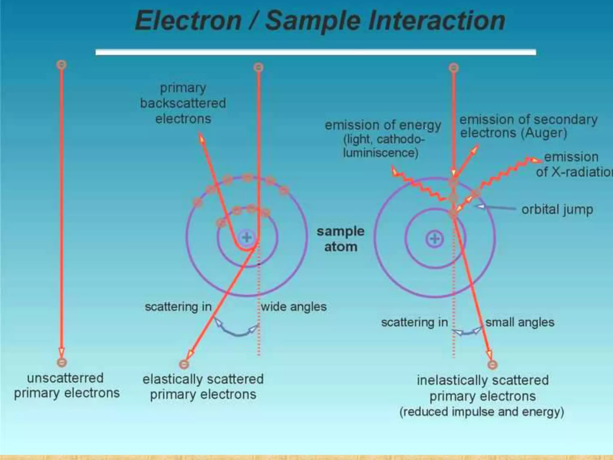 Electron specimen interaction
 