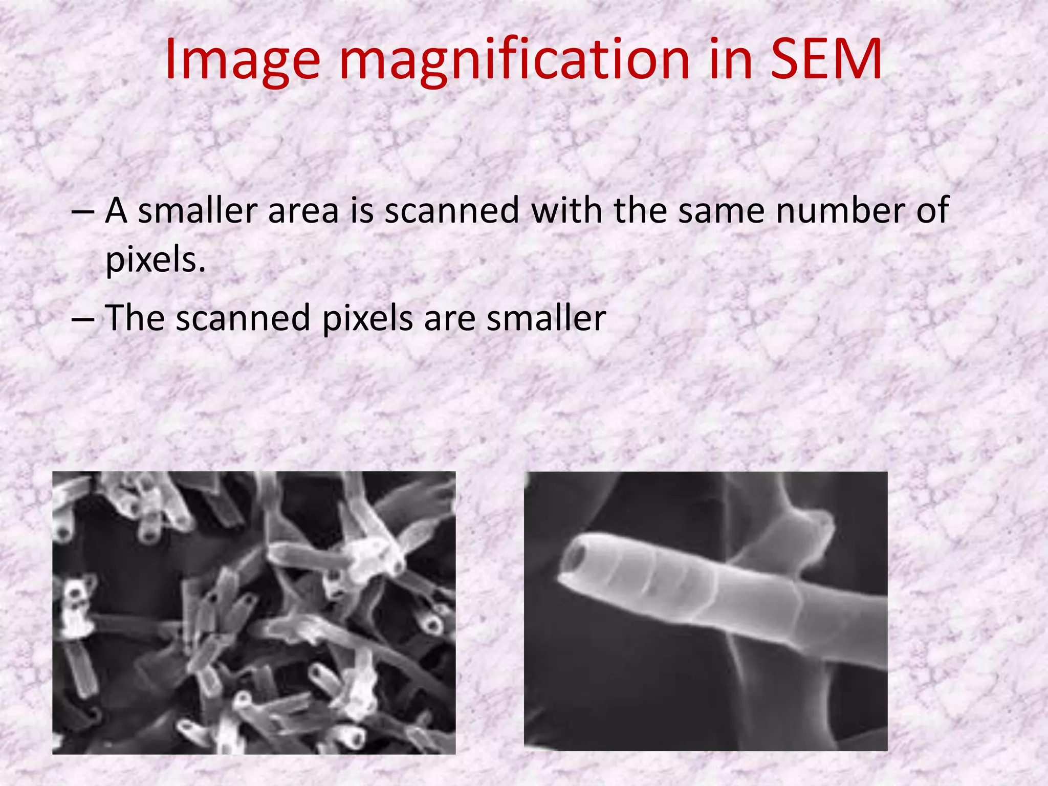 Image magnification in SEM

– A smaller area is scanned with the same number of
  pixels.
– The scanned pixels are smaller
 