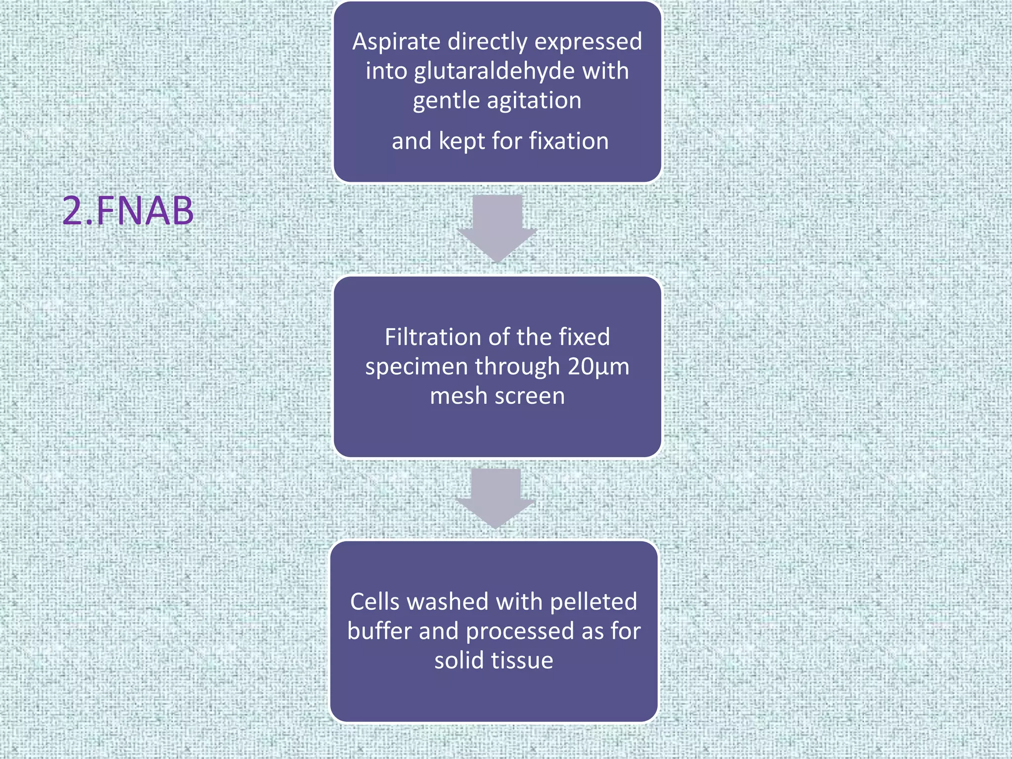 Aspirate directly expressed
          into glutaraldehyde with
               gentle agitation
             and kept for fixation

2.FNAB

            Filtration of the fixed
          specimen through 20µm
                 mesh screen




         Cells washed with pelleted
         buffer and processed as for
                 solid tissue
 