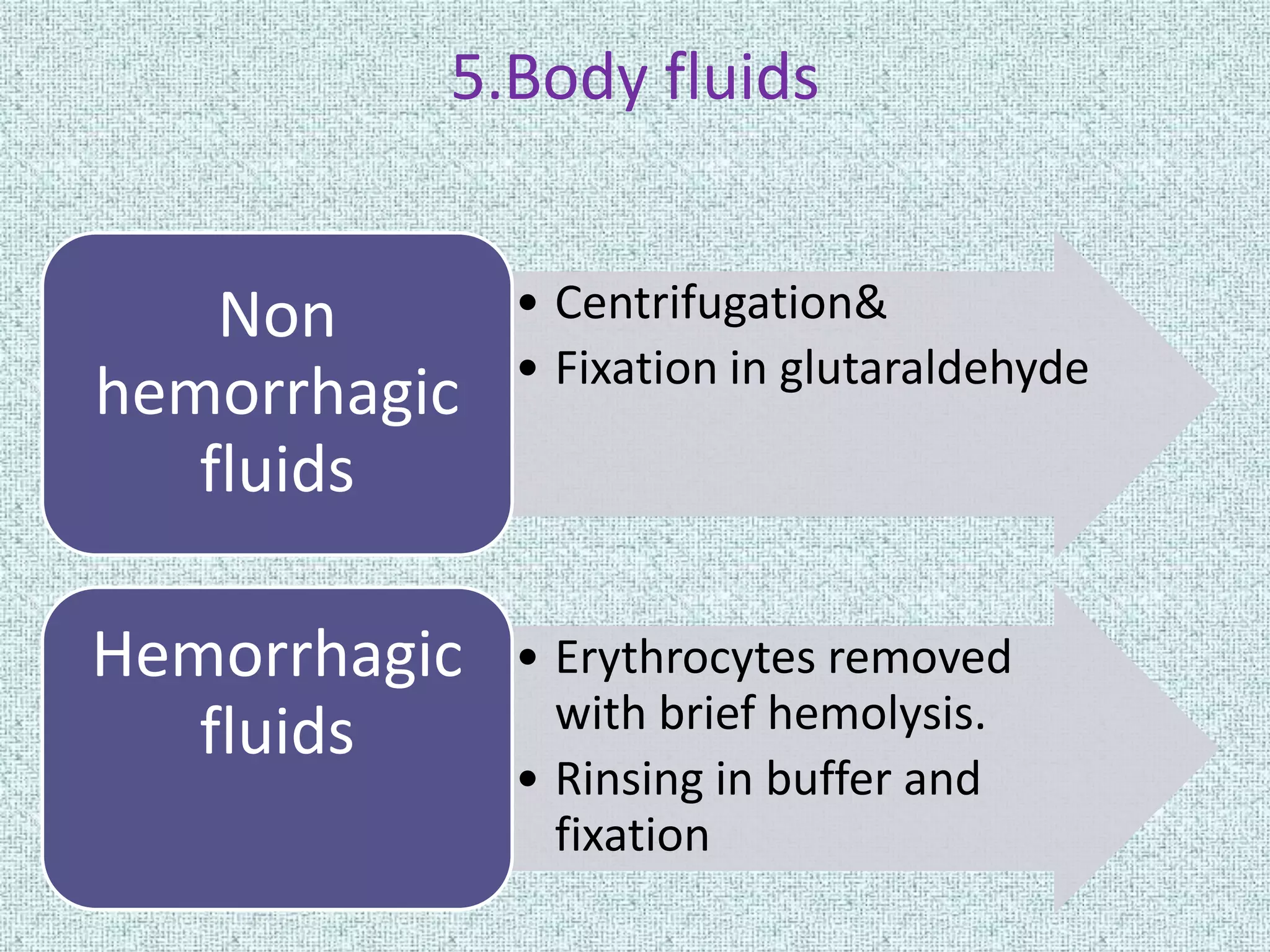 5.Body fluids


    Non       • Centrifugation&
              • Fixation in glutaraldehyde
hemorrhagic
   fluids

Hemorrhagic   • Erythrocytes removed
   fluids       with brief hemolysis.
              • Rinsing in buffer and
                fixation
 