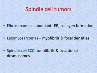 Spindle cell tumors

• Fibrosarcomas- abundant rER, collagen formation

• Leiomyosarcomas – myofibrils & focal densities

• Spindle cell SCC- tonofibrils & occasional
  desmosomes
 