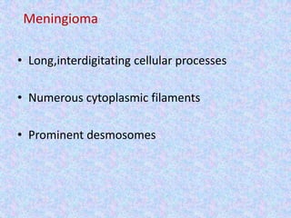 Meningioma

• Long,interdigitating cellular processes

• Numerous cytoplasmic filaments

• Prominent desmosomes
 