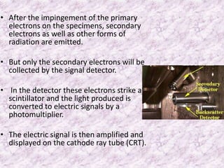 • After the impingement of the primary
  electrons on the specimens, secondary
  electrons as well as other forms of
  radiation are emitted.

• But only the secondary electrons will be
  collected by the signal detector.

• In the detector these electrons strike a
  scintillator and the light produced is
  converted to electric signals by a
  photomultiplier.

• The electric signal is then amplified and
  displayed on the cathode ray tube (CRT).
 