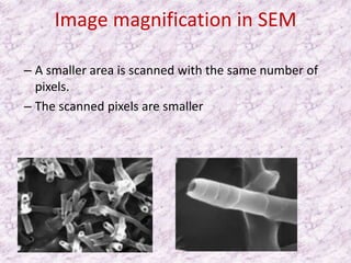 Image magnification in SEM

– A smaller area is scanned with the same number of
  pixels.
– The scanned pixels are smaller
 