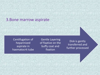 3.Bone marrow aspirate



   Centifugation of    Gentle Layering
                                              Disk is gently
     heparinized      of fixative on the
                                            transferred and
      aspirate in      buffy coat and
                                           further processed
   haematocrit tube         fixation
 