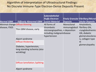 Algorithm of Interpretation of Ultrastructural Findings:
      No Discrete Immune-Type Electron-Dense Deposits Present

                                       Subendothelial
                                       Fluffy Electron-   Finely Granular   Fibrillary/Microt
Normal GBM      Diffusely Abnormal GBM Lucent Material Deposits             ubular Deposits
Minimal change Diffuse thinning        All forms of       Monoclonal        Amyloidosis,
disease, FSGS                          thrombotic         immunoglobuli     fibrillary GN,
               Thin GBM disease, early microangiopathies, n deposition      cryoglobulinemic
                                       including malignantdisease           GN, diabetic
                                       hypertension                         glomeruloscleros
               Alport syndrome                                              is, collagen type
               Diffuse thickening                                           III
                                                                            glomerulopathy
              Diabetes, hypertension,
              long-standing ischemia (also
              wrinkling)



              Diffuse lamellation /splitting

              Alport syndrome
 