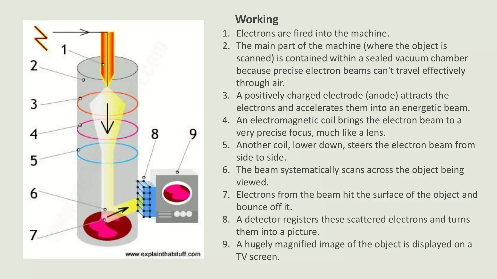 1. Electrons are fired into the machine.
2. The main part of the machine (where the object is
scanned) is contained within a sealed vacuum chamber
because precise electron beams can't travel effectively
through air.
3. A positively charged electrode (anode) attracts the
electrons and accelerates them into an energetic beam.
4. An electromagnetic coil brings the electron beam to a
very precise focus, much like a lens.
5. Another coil, lower down, steers the electron beam from
side to side.
6. The beam systematically scans across the object being
viewed.
7. Electrons from the beam hit the surface of the object and
bounce off it.
8. A detector registers these scattered electrons and turns
them into a picture.
9. A hugely magnified image of the object is displayed on a
TV screen.
Working
 