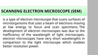 SCANNING ELECTRON MICROSCOPE (SEM)
is a type of electron microscope that scans surfaces of
microorganisms that uses a beam of electrons moving
at low energy to focus and scan specimens. The
development of electron microscopes was due to the
inefficiency of the wavelength of light microscopes.
electron microscopes have very short wavelengths in
comparison to the light microscope which enables
better resolution power.
 