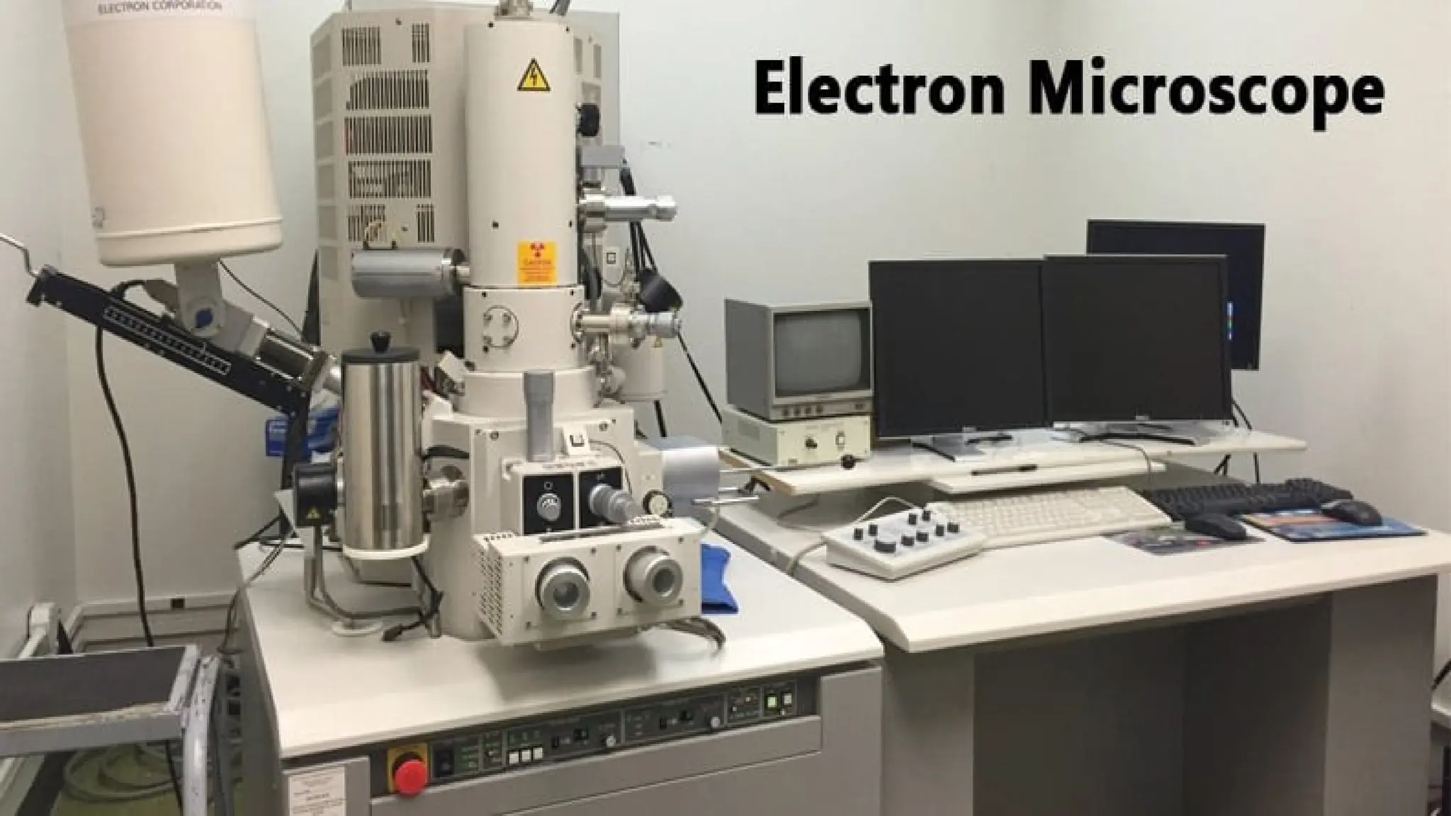 electron microscopy, types, Scanning electron microscope and ...