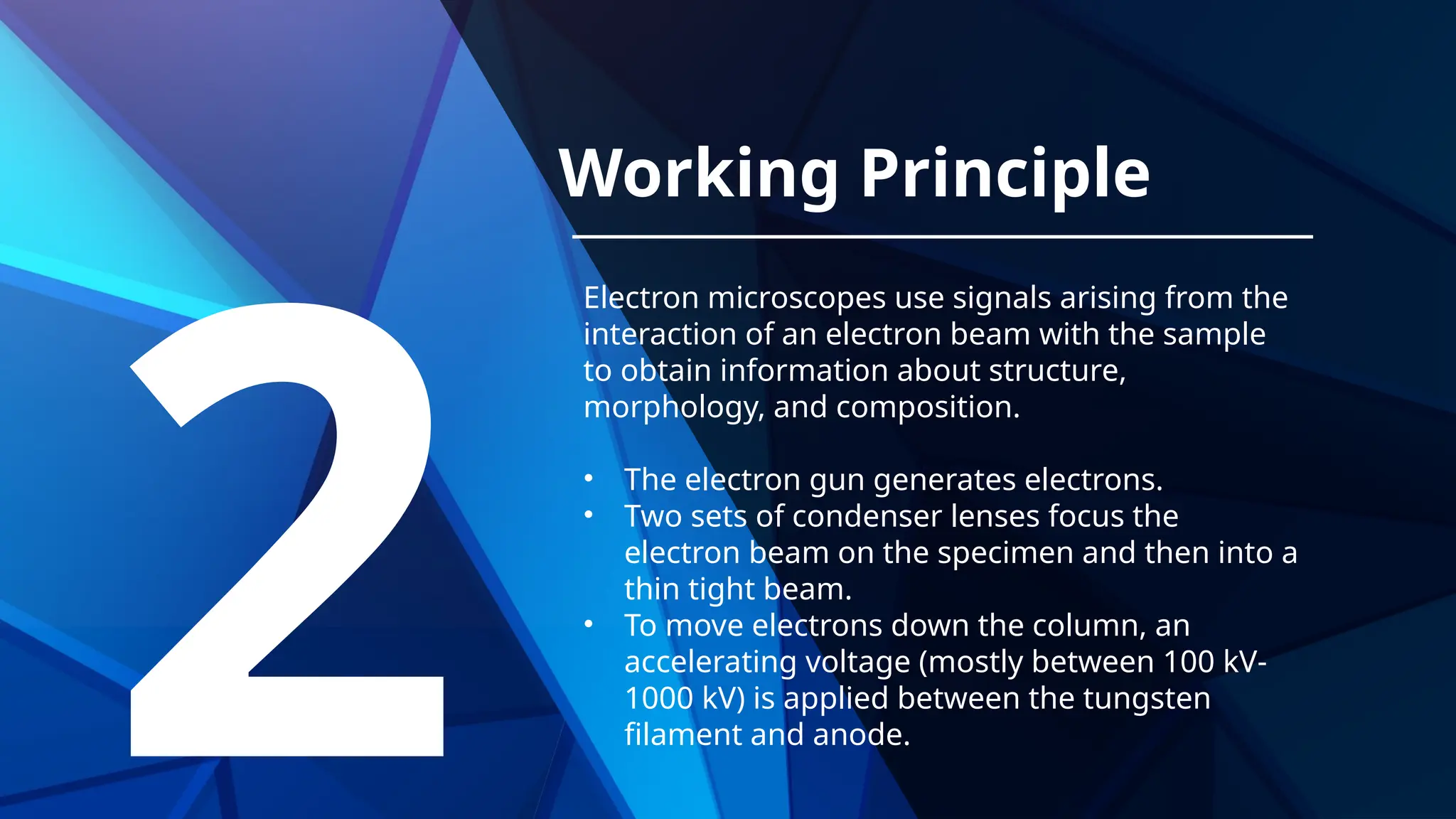 electron microscopy, types, Scanning electron microscope and ...