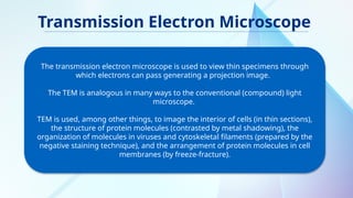 electron microscopy, types, Scanning electron microscope and ...