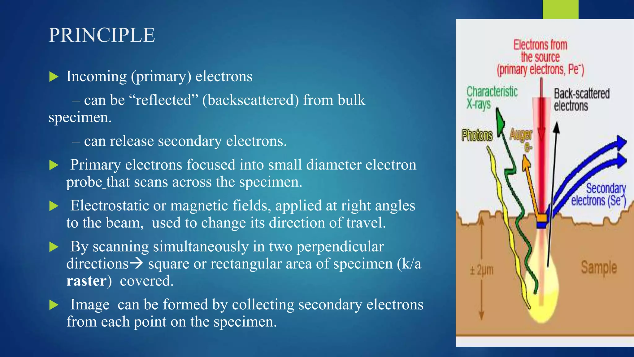 PRINCIPLE
 Incoming (primary) electrons
– can be “reflected” (backscattered) from bulk
specimen.
– can release secondary electrons.
 Primary electrons focused into small diameter electron
probe that scans across the specimen.
 Electrostatic or magnetic fields, applied at right angles
to the beam, used to change its direction of travel.
 By scanning simultaneously in two perpendicular
directions square or rectangular area of specimen (k/a
raster) covered.
 Image can be formed by collecting secondary electrons
from each point on the specimen.
 