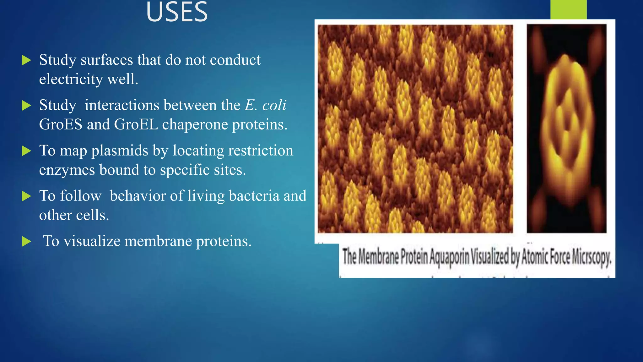 USES
 Study surfaces that do not conduct
electricity well.
 Study interactions between the E. coli
GroES and GroEL chaperone proteins.
 To map plasmids by locating restriction
enzymes bound to specific sites.
 To follow behavior of living bacteria and
other cells.
 To visualize membrane proteins.
 