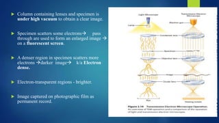  Column containing lenses and specimen is
under high vacuum to obtain a clear image.
 Specimen scatters some electrons pass
through are used to form an enlarged image 
on a fluorescent screen.
 A denser region in specimen scatters more
electrons darker image k/a Electron
dense.
 Electron-transparent regions - brighter.
 Image captured on photographic film as
permanent record.
 
