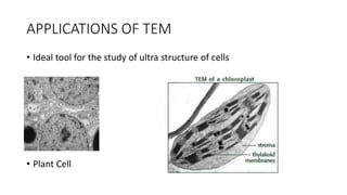 APPLICATIONS OF TEM
• Ideal tool for the study of ultra structure of cells
• Plant Cell
 