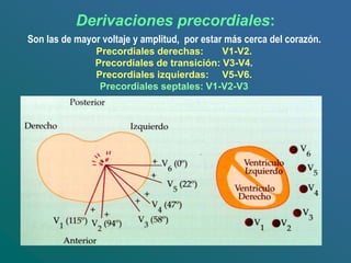 Derivaciones precordiales:
Son las de mayor voltaje y amplitud, por estar más cerca del corazón.
Precordiales derechas: V1-V2.
Precordiales de transición: V3-V4.
Precordiales izquierdas: V5-V6.
Precordiales septales: V1-V2-V3
 