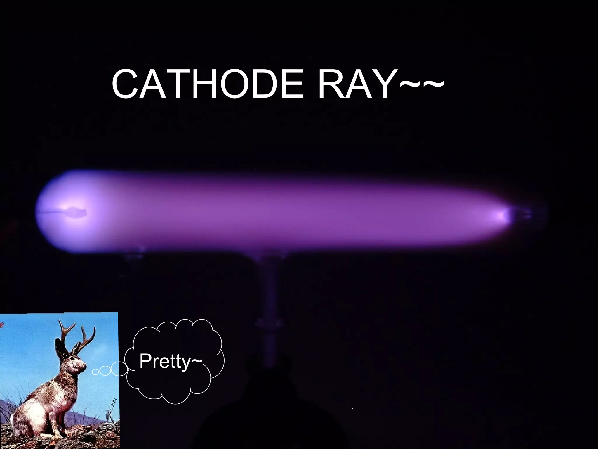 Pretty~ CATHODE RAY~~ 