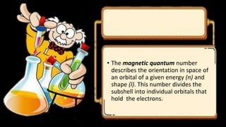 • The magnetic quantum number
describes the orientation in space of
an orbital of a given energy (n) and
shape (l). This number divides the
subshell into individual orbitals that
hold the electrons.
 