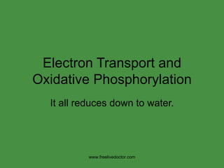 Electron Transport and Oxidative Phosphorylation It all reduces down to water. www.freelivedoctor.com 