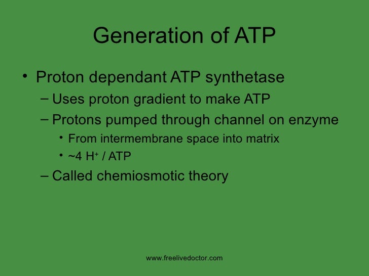 chemiosmotic theory
