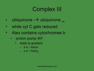 Complex III ubiquinone -   ubiquinone  ox   while cyt C gets reduced Also contains cytochromes b proton pump 4H + Adds to gradient 8 H +  / NADH  4 H +  / FADH 2 www.freelivedoctor.com 