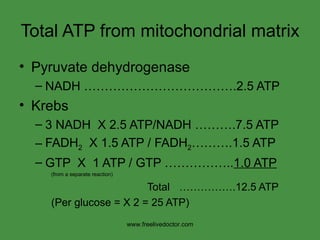Total ATP from mitochondrial matrix  Pyruvate dehydrogenase  NADH ……………………………….2.5 ATP Krebs 3 NADH  X 2.5 ATP/NADH ……….7.5 ATP FADH 2   X 1.5 ATP / FADH 2 ……….1.5 ATP GTP  X  1 ATP / GTP …………….. 1.0 ATP (from a separate reaction) Total …………….12.5 ATP (Per glucose = X 2 = 25 ATP) www.freelivedoctor.com 