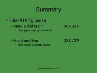 Summary Total ATP / glucose Muscle and brain 30.0 ATP Uses glycerol phosphate shuttle Heart and liver 32.0 ATP Uses malate aspartate shuttle www.freelivedoctor.com 