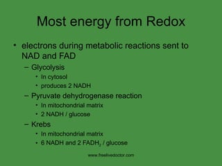 Most energy from Redox electrons during metabolic reactions sent to NAD and FAD Glycolysis In cytosol produces 2 NADH Pyruvate dehydrogenase reaction In mitochondrial matrix 2 NADH / glucose Krebs In mitochondrial matrix 6 NADH and 2 FADH 2  / glucose www.freelivedoctor.com 