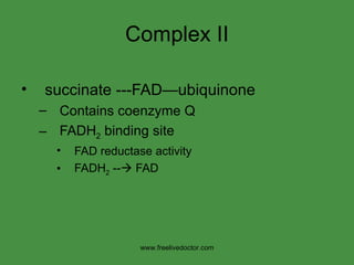 Complex II succinate ---FAD—ubiquinone Contains coenzyme Q FADH 2  binding site FAD reductase activity FADH 2  --   FAD www.freelivedoctor.com 