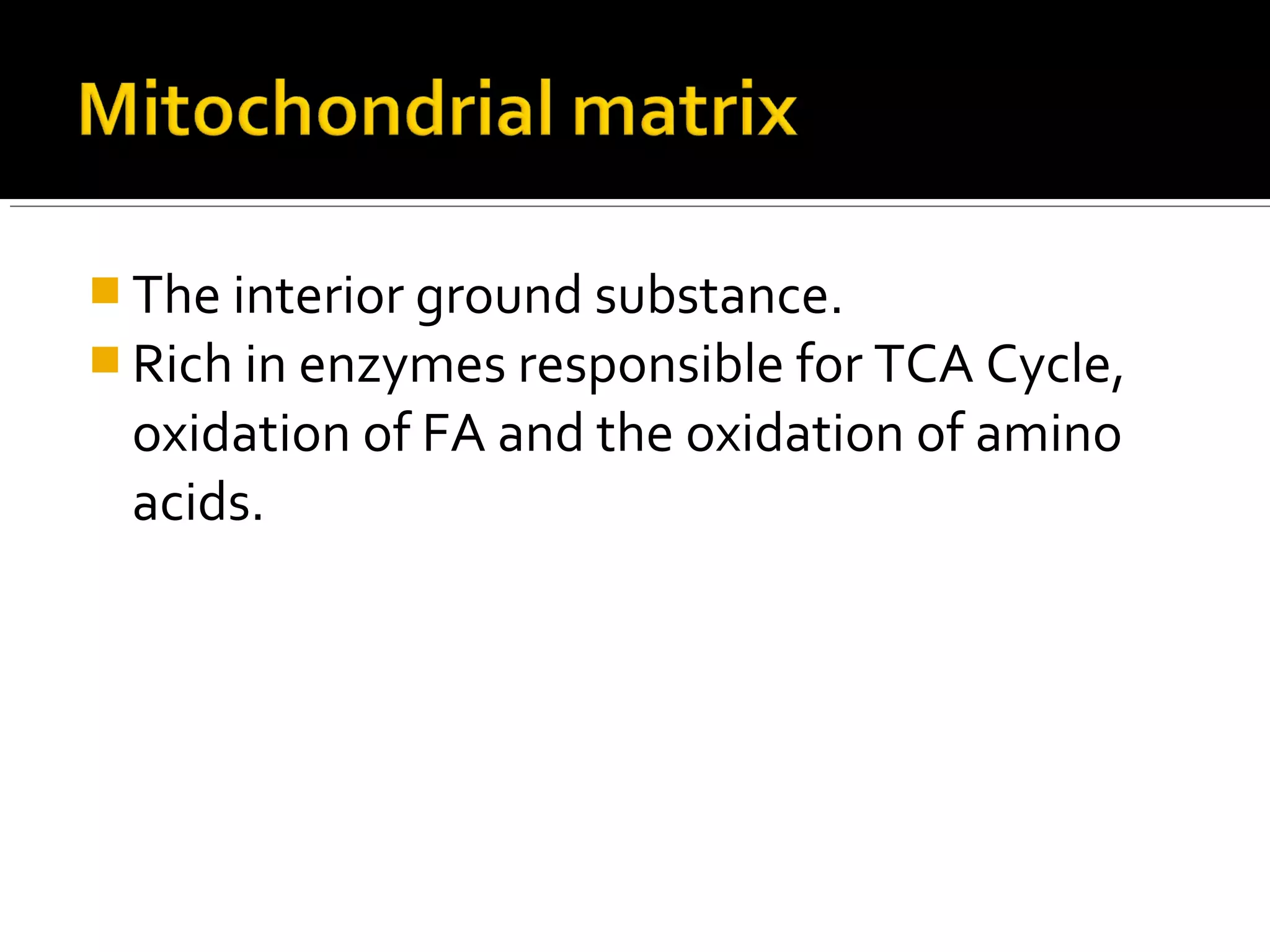 The interior ground substance.
 Rich in enzymes responsible for TCA Cycle,
oxidation of FA and the oxidation of amino
acids.
 