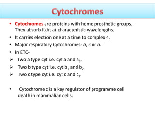 • Cytochromes are proteins with heme prosthetic groups.
They absorb light at characteristic wavelengths.
• It carries electron one at a time to complex 4.
• Major respiratory Cytochromes- b, c or a.
• In ETC-
 Two a type cyt i.e. cyt a and a3.
 Two b type cyt i.e. cyt b1 and b2.
 Two c type cyt i.e. cyt c and c1.
• Cytochrome c is a key regulator of programme cell
death in mammalian cells.
 