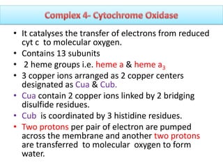 • It catalyses the transfer of electrons from reduced
cyt c to molecular oxygen.
• Contains 13 subunits
• 2 heme groups i.e. heme a & heme a3
• 3 copper ions arranged as 2 copper centers
designated as Cua & Cub.
• Cua contain 2 copper ions linked by 2 bridging
disulfide residues.
• Cub is coordinated by 3 histidine residues.
• Two protons per pair of electron are pumped
across the membrane and another two protons
are transferred to molecular oxygen to form
water.
 