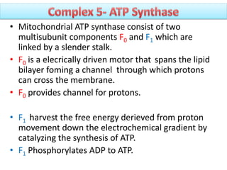 • Mitochondrial ATP synthase consist of two
multisubunit components F0 and F1 which are
linked by a slender stalk.
• F0 is a elecrically driven motor that spans the lipid
bilayer foming a channel through which protons
can cross the membrane.
• F0 provides channel for protons.
• F1 harvest the free energy derieved from proton
movement down the electrochemical gradient by
catalyzing the synthesis of ATP.
• F1 Phosphorylates ADP to ATP.
 
