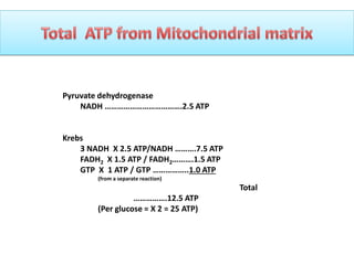 Pyruvate dehydrogenase
NADH ……………………………….2.5 ATP
Krebs
3 NADH X 2.5 ATP/NADH ……….7.5 ATP
FADH2 X 1.5 ATP / FADH2……….1.5 ATP
GTP X 1 ATP / GTP ……………..1.0 ATP
(from a separate reaction)
Total
…………….12.5 ATP
(Per glucose = X 2 = 25 ATP)
 