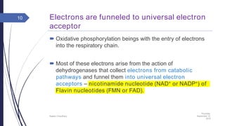 Electrons are funneled to universal electron
acceptor
 Oxidative phosphorylation beings with the entry of electrons
into the respiratory chain.
 Most of these electrons arise from the action of
dehydrogenases that collect electrons from catabolic
pathways and funnel them into universal electron
acceptors – nicotinamide nucleotide (NAD+ or NADP+) of
Flavin nucleotides (FMN or FAD).
Thursday,
September 15,
2016
Rajesh Chaudhary
10
 