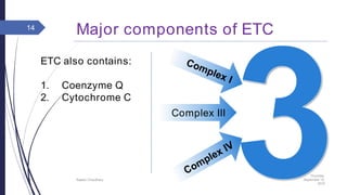 Major components of ETC
Thursday,
September 15,
2016
Rajesh Chaudhary
14
Complex III
ETC also contains:
1. Coenzyme Q
2. Cytochrome C
 