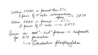 Electron transport chain