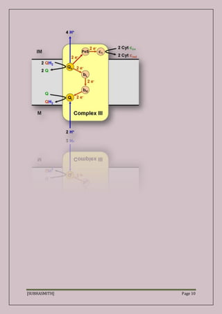 [SUBHASMITH] Page 10
 