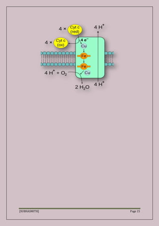 [SUBHASMITH] Page 15
 