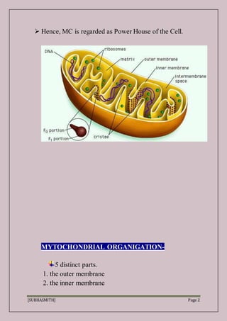 [SUBHASMITH] Page 2
 Hence, MC is regarded as Power House of the Cell.
MYTOCHONDRIAL ORGANIGATION-
5 distinct parts.
1. the outer membrane
2. the inner membrane
 