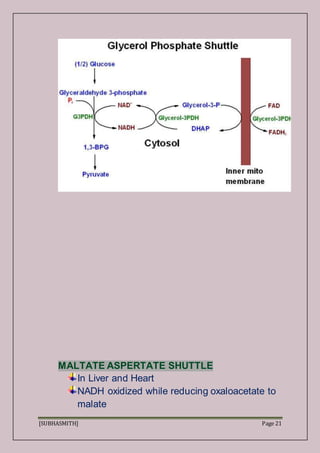 [SUBHASMITH] Page 21
MALTATE ASPERTATE SHUTTLE
In Liver and Heart
NADH oxidized while reducing oxaloacetate to
malate
 