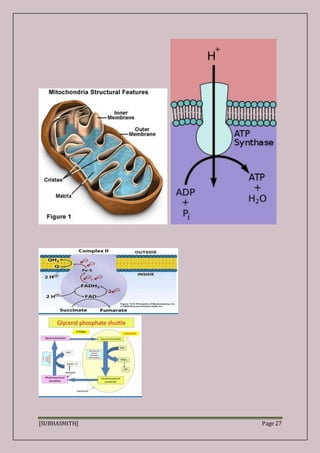 [SUBHASMITH] Page 27
 