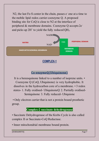 [SUBHASMITH] Page 7
N2, the last Fe-S center in the chain, passes e-
one at a time to
the mobile lipid redox carrier coenzyme Q. A proposed
binding site for CoQ is close to N2 at the interface of
peripheral & membrane domains. Coenzyme Q accepts 2e-
and picks up 2H+
to yield the fully reduced QH2.
NADH
NAD+
COMPLEX-1
Co-enzymeQ(Ubiquinone)
It is a benzoquinone linked to a number of isoprene units. •
Coenzyme Q (CoQ, Ubiquinone) is very hydrophobic. It
dissolves in the hydrocarbon core of a membrane. • 3 redox
states- 1. Fully oxidised- UbiquinoneQ 2. Partially oxidised-
Semiquinone 3. Fully reduced- Ubiquione
• Only electron carrier that is not a protein bound prosthetic
group.
Complex-2 succinate dehydrogenase
• Succinate Dehydrogenase of the Krebs Cycle is also called
complex II or Succinate-CoQ Reductase.
• Inner mitochondrial membrane bound protein.
MEMBRAIN
DOMAIN
FMN
INNER MITOCHONDRIAL MEMBRAIN
PERIPHERAL DOMAIN
MATRIX
 