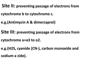 Site II: preventing passage of electrons from
cytochrome b to cytochrome c.
e.g.(Antimycin A & dimercaprol)
Site III: preventing passage of electrons from
cytochrome a+a3 to o2.
e.g.(H2S, cyanide (CN-), carbon monoxide and
sodium a zide).
 