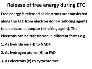 Release of free energy during ETC
Free energy is released as electrons are transferred
along the ETC from electron donor(reducing agent)
to an electron acceptor (oxidizing agent). The
electrons can be transferred in different forms e.g.
1. As hydride ion (H) to NAD+
2. As hydrogen atoms (H) to FAD
3. As electrons (e) to cytochromes
 