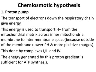 Chemiosmotic hypothesis
1. Proton pump
The transport of electrons down the respiratory chain
give energy.
This energy is used to transport H+ from the
mitochondrial matrix across inner mitochondrial
membrane to inter membrane space(because outside
of the membrane (lower PH & more positive charges).
This done by complexes I,III and IV.
The energy generated by this proton gradient is
sufficient for ATP synthesis.
 