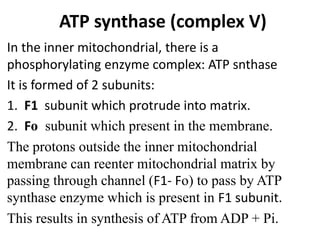ATP synthase (complex V)
In the inner mitochondrial, there is a
phosphorylating enzyme complex: ATP snthase
It is formed of 2 subunits:
1. F1 subunit which protrude into matrix.
2. Fο subunit which present in the membrane.
The protons outside the inner mitochondrial
membrane can reenter mitochondrial matrix by
passing through channel (F1- Fο) to pass by ATP
synthase enzyme which is present in F1 subunit.
This results in synthesis of ATP from ADP + Pi.
 