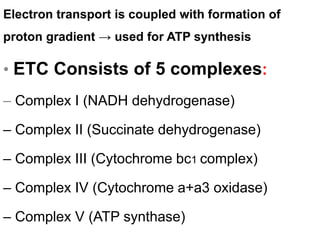 Electron transport is coupled with formation of
proton gradient → used for ATP synthesis
• ETC Consists of 5 complexes:
– Complex I (NADH dehydrogenase)
– Complex II (Succinate dehydrogenase)
– Complex III (Cytochrome bc1 complex)
– Complex IV (Cytochrome a+a3 oxidase)
– Complex V (ATP synthase)
 
