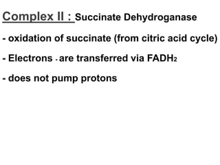 Complex II : Succinate Dehydroganase
- oxidation of succinate (from citric acid cycle)
- Electrons - are transferred via FADH2
- does not pump protons
 
