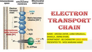 NAME : AREEBA ZAFAR, LAIBA SIRAJGULL,
SHAKILA , AMNA KHAN.
DEPARTMENT : BS CHEMISTRY (2022-2023)
PRESENTED TO : MISS MARIAM HANIF
 